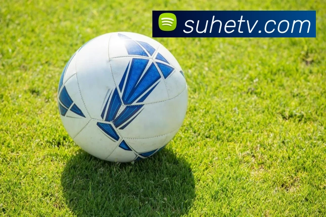 华会体育app官网服务体系